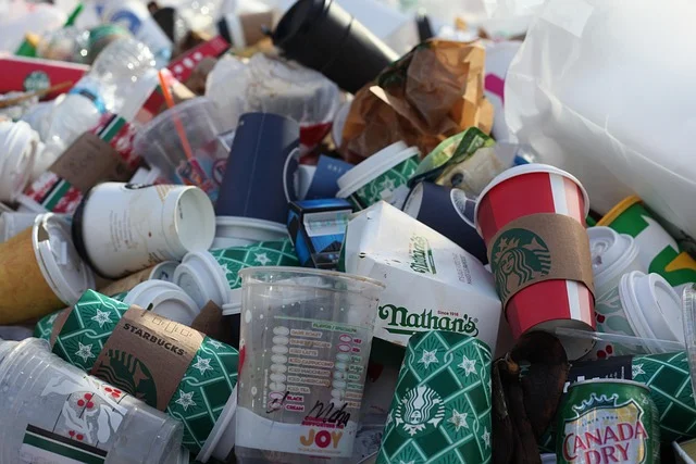 disposable vape perth - coffeetogo, disposable cups, environmental pollution, plastic, mullberg, coffee cup, garbage, coffee mug, coffee, cup, fast food, coffee to go