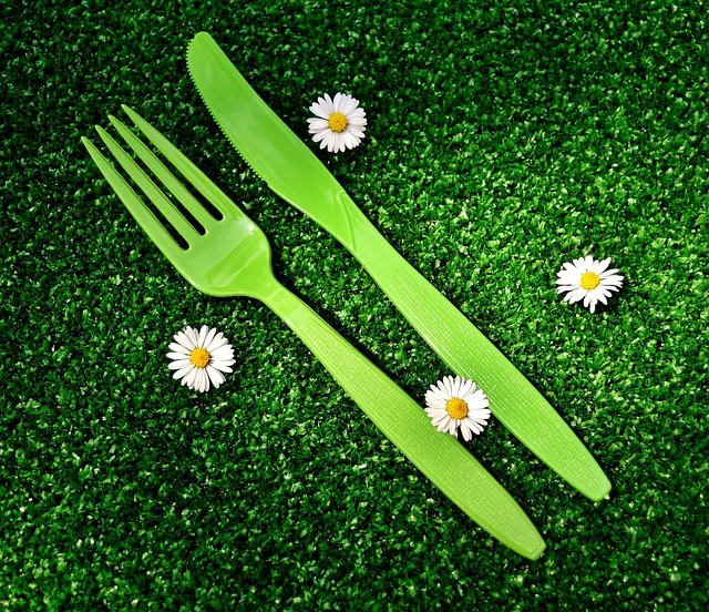 disposable vapes - picnic, cutlery, nature, plastic, disposable, knife, fork, summer